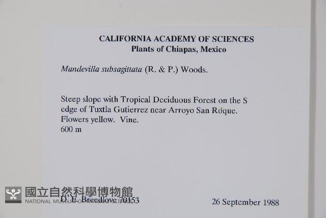 登錄號:S035152藏品圖，第2張