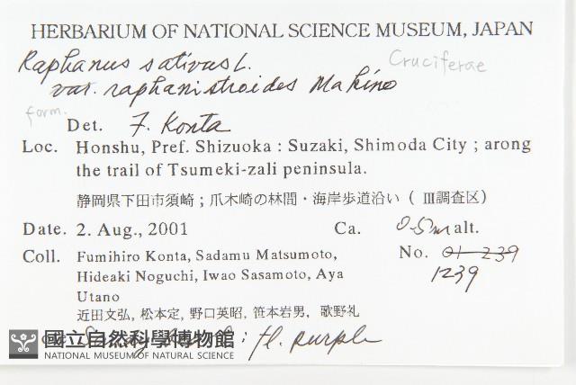 濱萊菔藏品圖，第2張