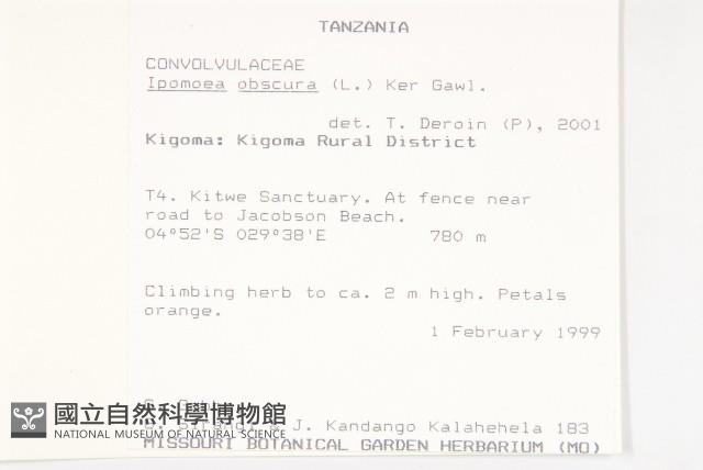 野牽牛藏品圖，第2張