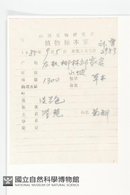 阿爾泰狗哇花藏品圖，第2張