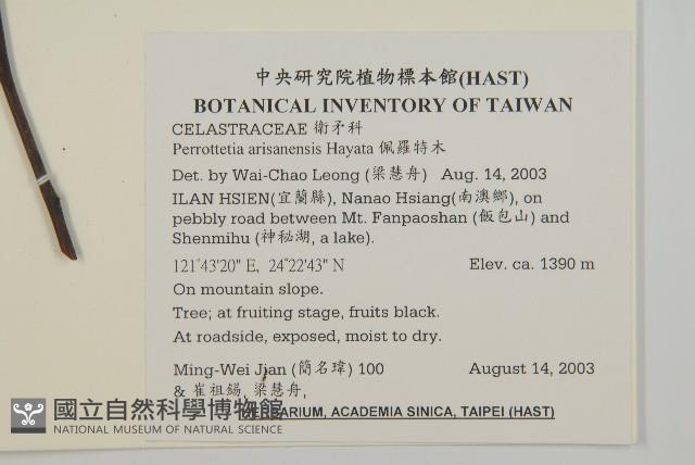 佩羅特木藏品圖，第2張