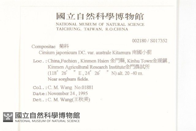 南國小薊藏品圖，第2張
