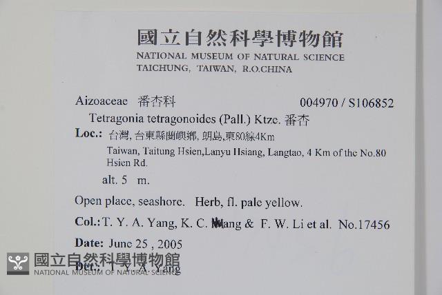 番杏藏品圖，第2張