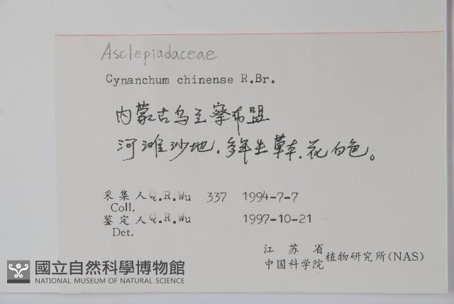 鵝絨藤藏品圖，第2張