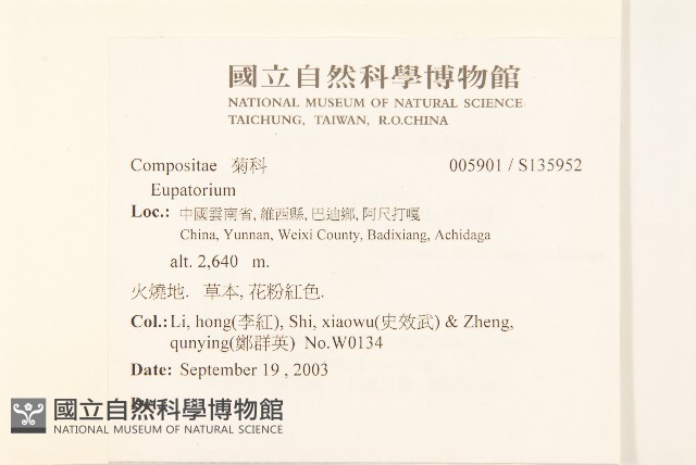 登錄號:S135952藏品圖，第2張