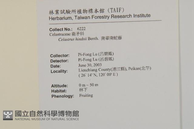 南華南蛇藤，青江藤藏品圖，第2張