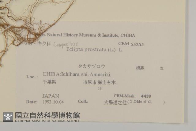 鱧腸藏品圖，第2張