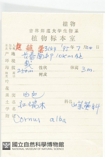 紅瑞木藏品圖，第2張