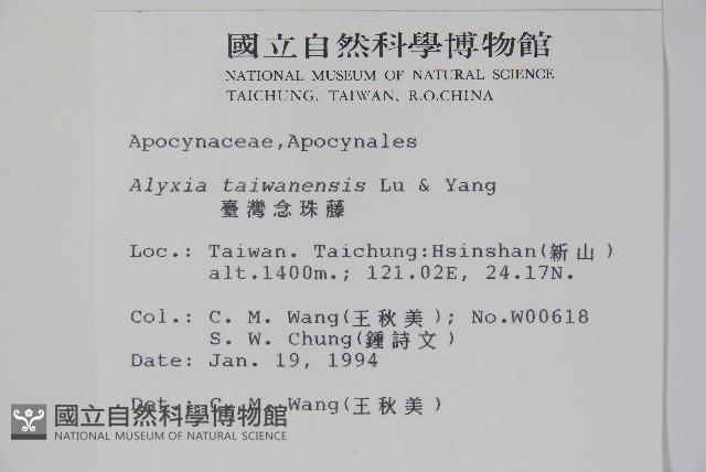 台灣念珠藤藏品圖，第2張