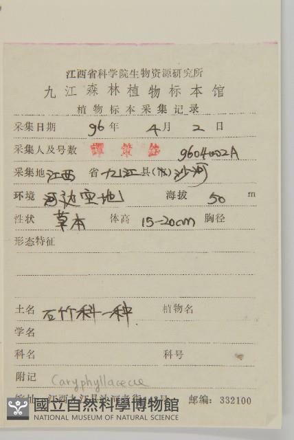 繁縷藏品圖，第2張