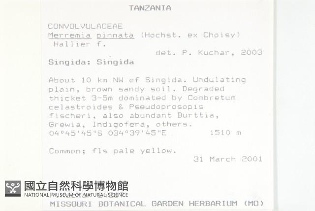 登錄號:S097552藏品圖，第2張