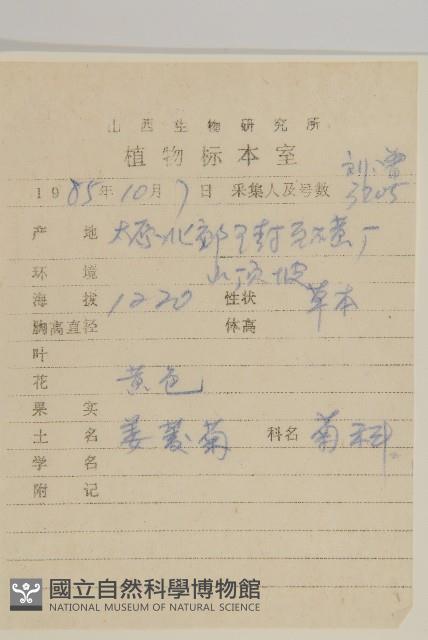 委陵菊藏品圖，第2張