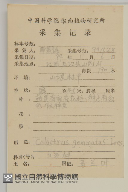 哥蘭葉藏品圖，第2張