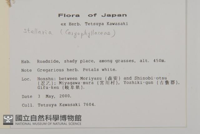 登錄號:S113492藏品圖，第2張