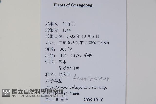 四子馬藍藏品圖，第2張