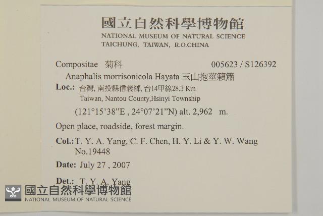 玉山抱莖籟簫藏品圖，第2張