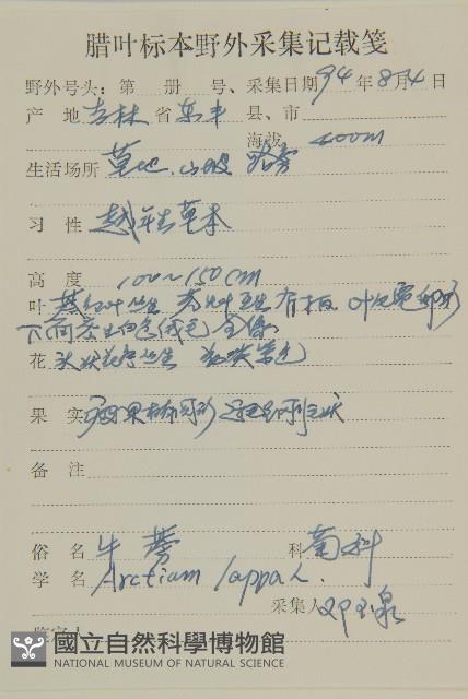 牛蒡藏品圖，第2張