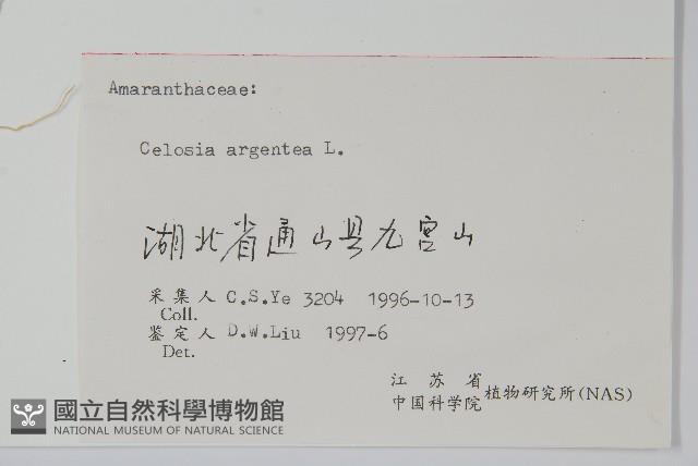 青葙藏品圖，第2張