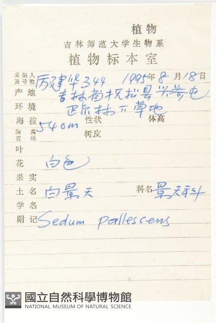 白景天藏品圖，第2張