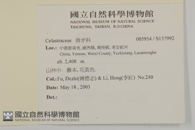 登錄號:S137992藏品圖，第2張