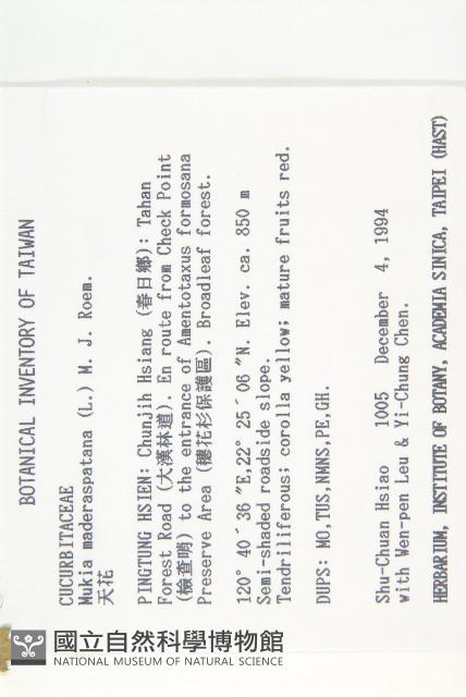 天花藏品圖，第2張