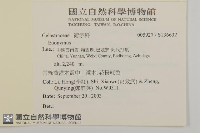 登錄號:S136632藏品圖，第2張