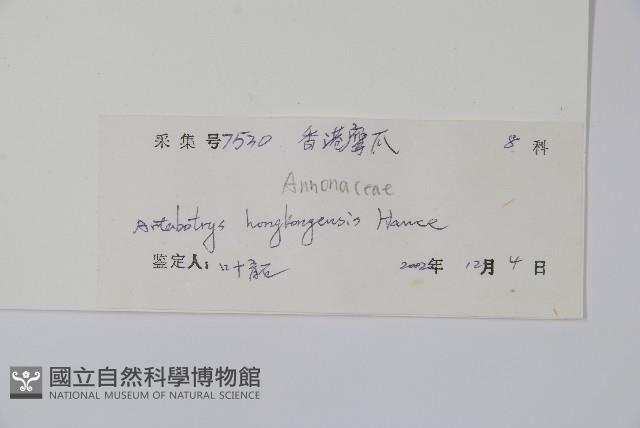 光葉紫玉盤藏品圖，第2張