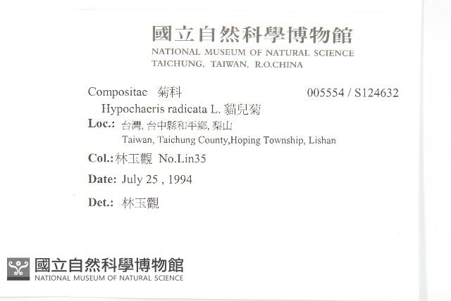 貓兒菊藏品圖，第2張