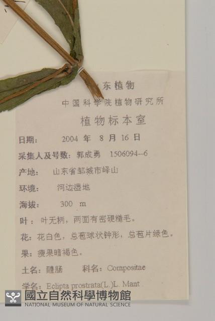 鱧腸藏品圖，第2張