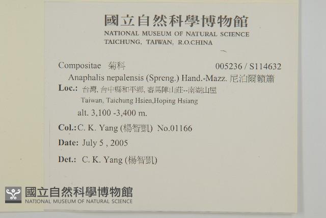 尼泊爾籟簫藏品圖，第2張