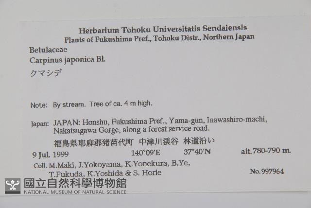 登錄號:S074632藏品圖，第2張