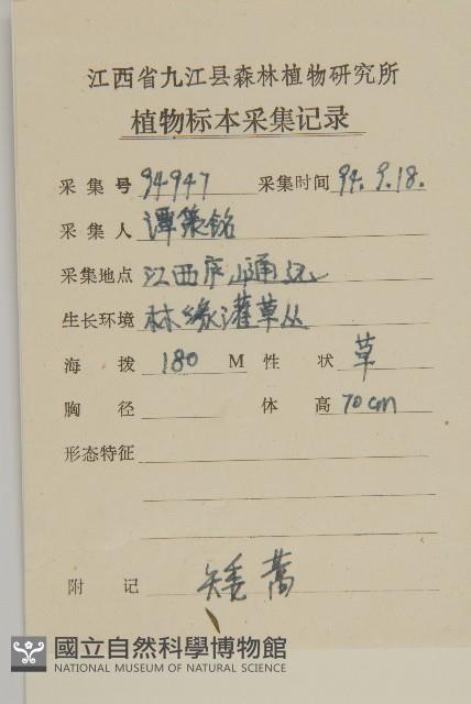 小艾藏品圖，第2張