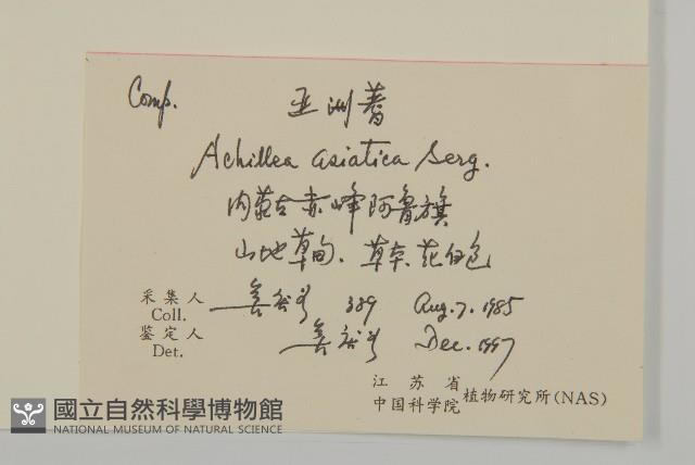 亞洲蓍藏品圖，第2張