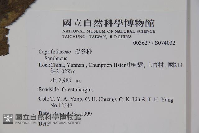 登錄號:S074032藏品圖，第2張