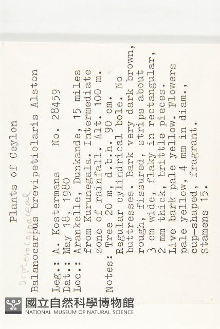 登錄號:S047032藏品圖，第2張