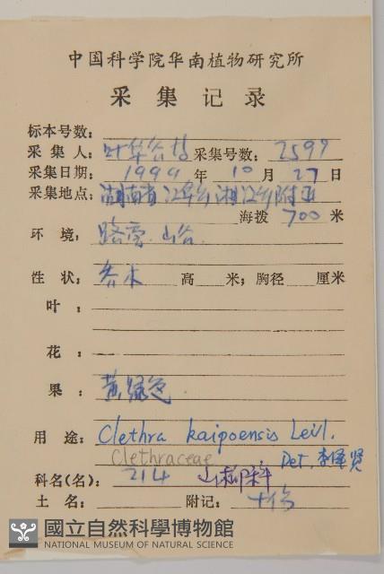 大葉山柳藏品圖，第2張