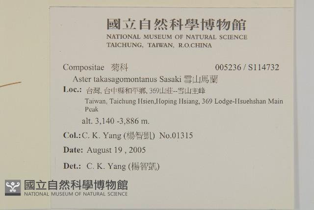 雪山馬蘭藏品圖，第2張