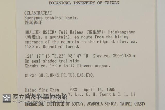 菱葉衛矛藏品圖，第2張