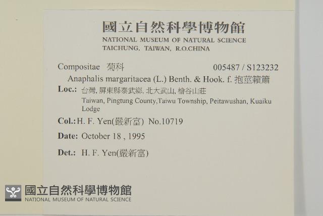 抱莖籟簫藏品圖，第2張