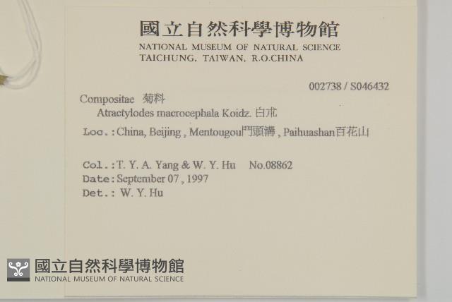 白朮藏品圖，第2張