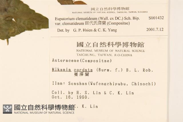 田代氏澤蘭藏品圖，第2張