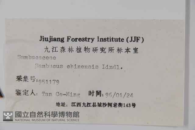 冇骨消藏品圖，第2張