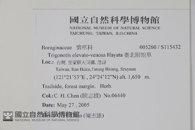 臺北附地草藏品圖，第2張