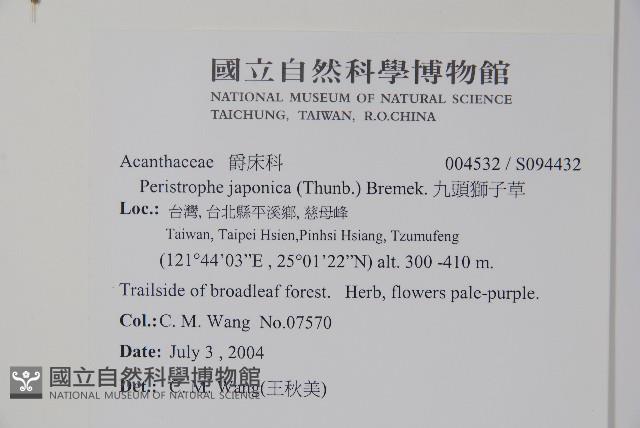 九頭獅子草藏品圖，第2張