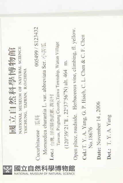 小苦瓜藏品圖，第2張