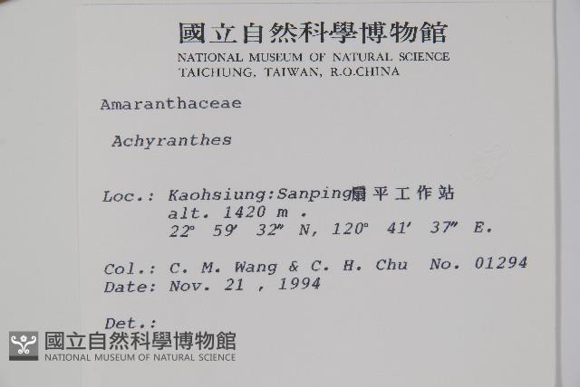 登錄號:S015132藏品圖，第2張