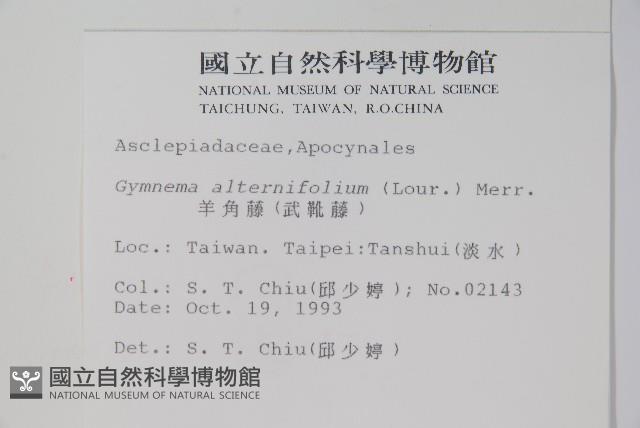 羊角藤、武靴藤藏品圖，第2張