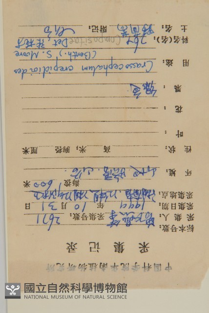 昭和草藏品圖，第2張