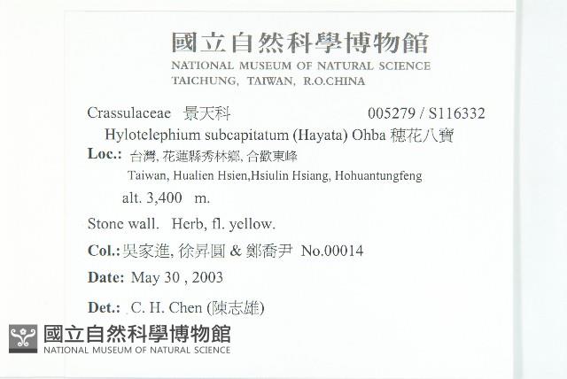 穗花八寶藏品圖，第2張