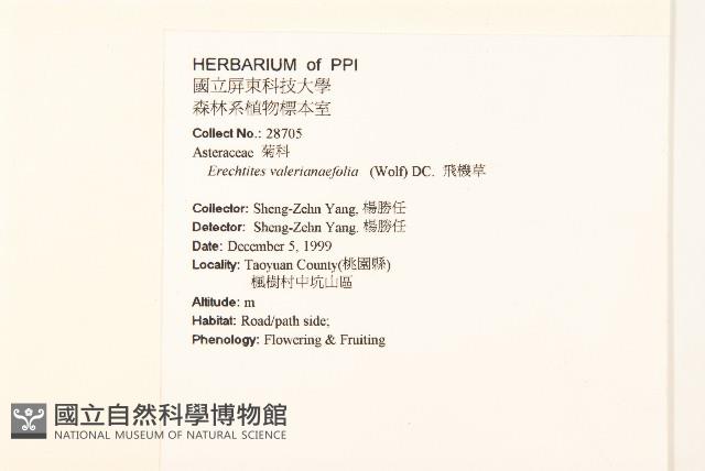 飛機草藏品圖，第2張